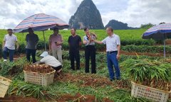 <b>人平易近日概况关于人平易近网聘英才告白办事</b>