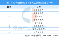 <b>2024年度中国市场协做焊接机械人品牌出货量排行</b>